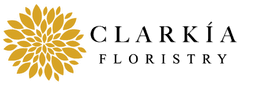 Clarkia Floristy